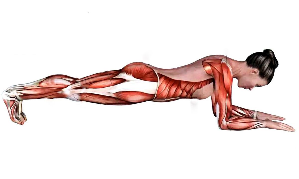 qué músculos trabajan al hacer plancha